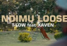 T LOW featuring Xaven - Ndimu Loose MP3