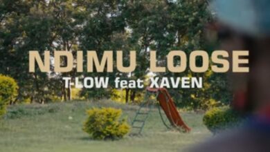 T LOW featuring Xaven - Ndimu Loose MP3