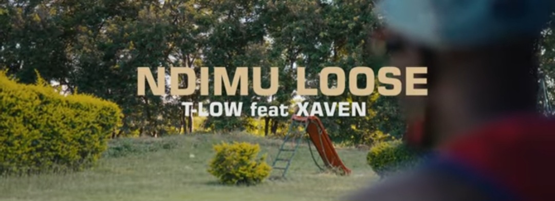T LOW featuring Xaven - Ndimu Loose MP3