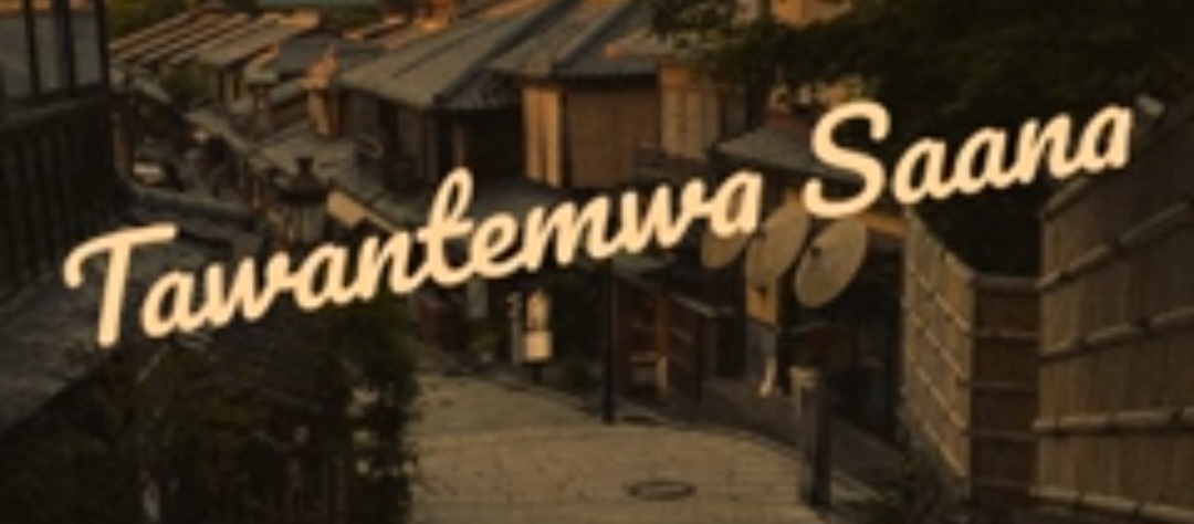 T SEAN - Tawantemwa Saana