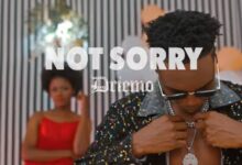 DRIEMO - Not Sorry MP3