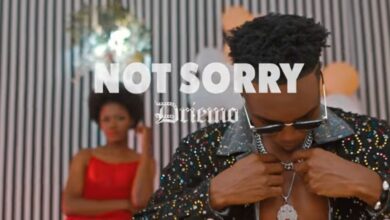 DRIEMO - Not Sorry MP3