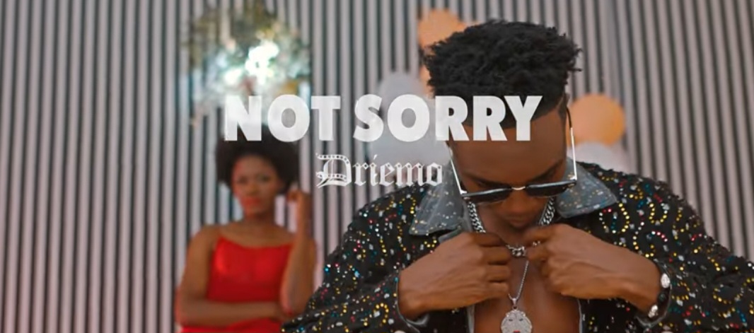 DRIEMO - Not Sorry MP3