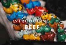Swizzy ni Swizzy - Introducing Beef MP3