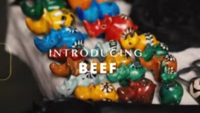 Swizzy ni Swizzy - Introducing Beef MP3